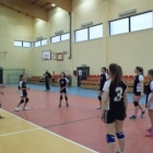 Mistrzostwa szkoły w piłce siatkowej